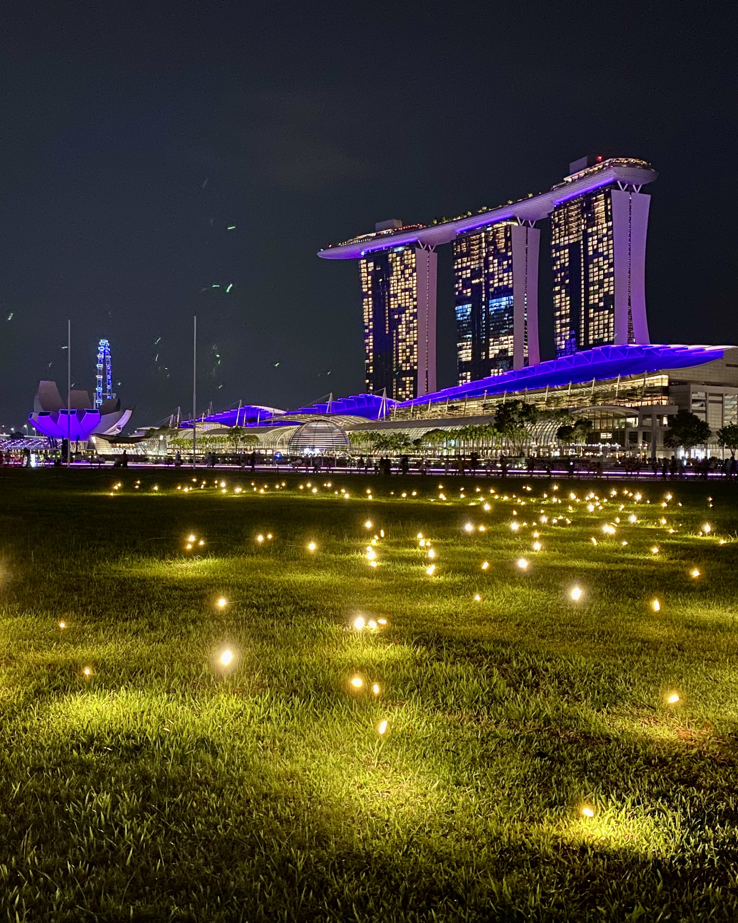 The Singapore Collection